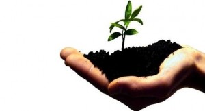 Apoyo a los emprendedores
