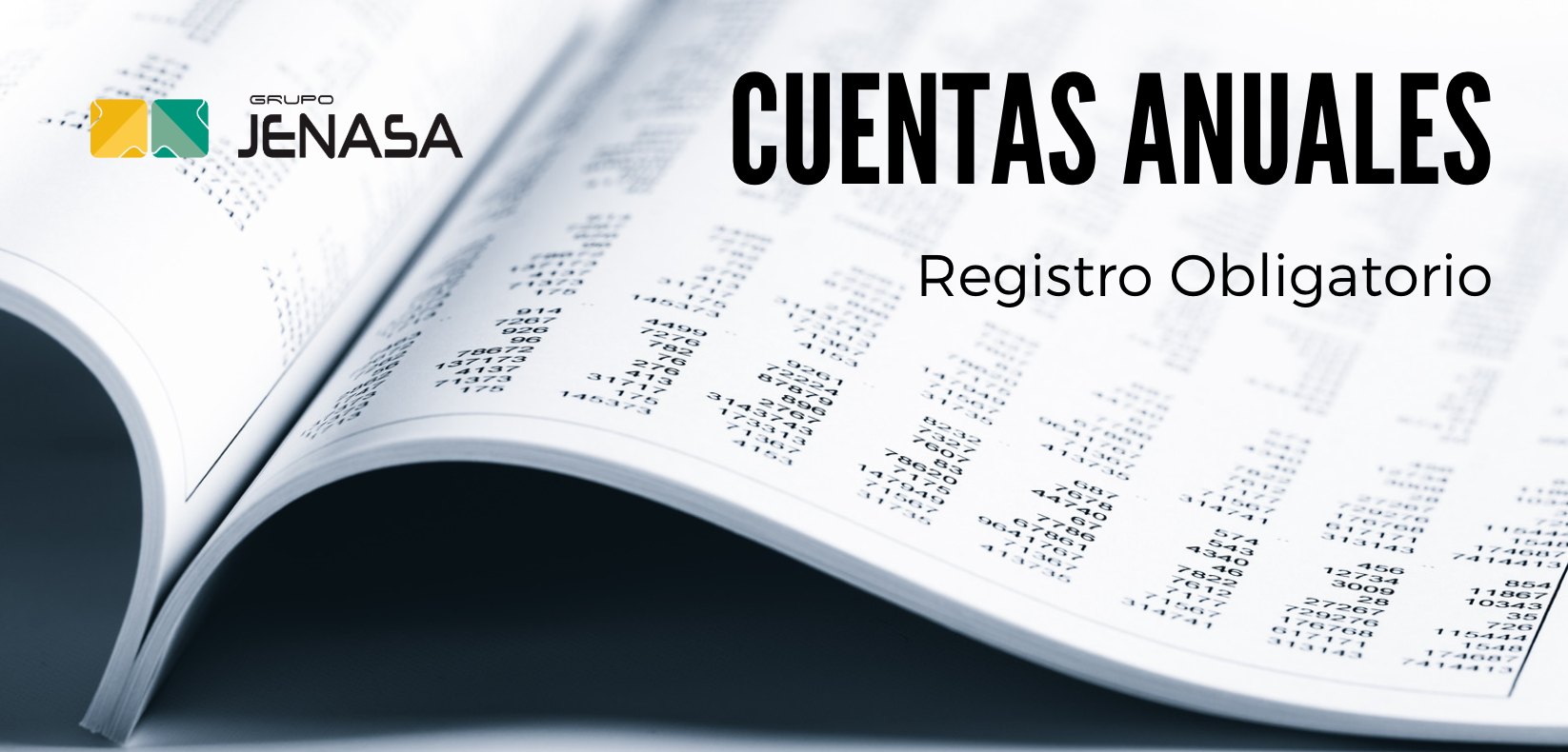 Depósito de cuentas anuales en el Registro Mercantil: registro obligatorio - Grupo Jenasa